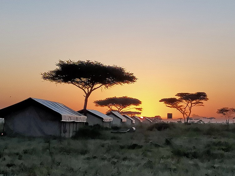 agence de voyage tanzanie bordeaux